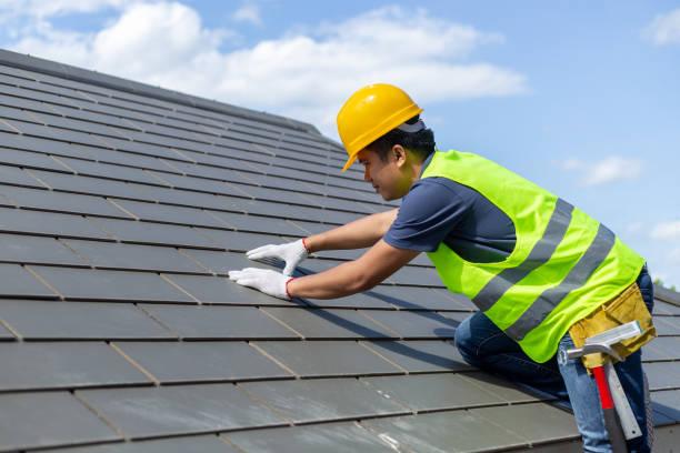 Best Roof Gutter Cleaning  in The Hills, TX
