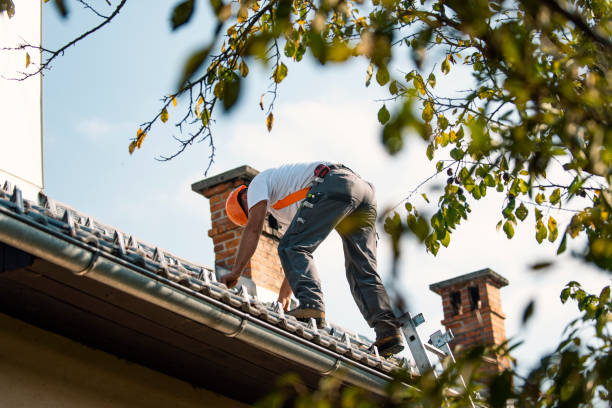 Best Roof Leak Repair  in The Hills, TX