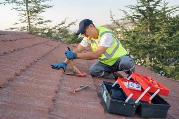 Best Flat Roof Repair Services  in The Hills, TX